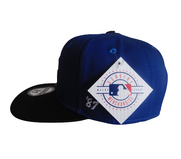 Gorra Urbana Beisbol Los Angeles Dodgers CALZADO GUERREROS GR-014 Azul